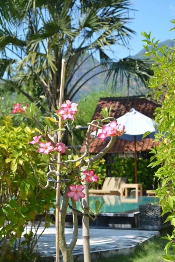 Sunia Loka Bungalows & Dive Center Pemuteran Extérieur photo