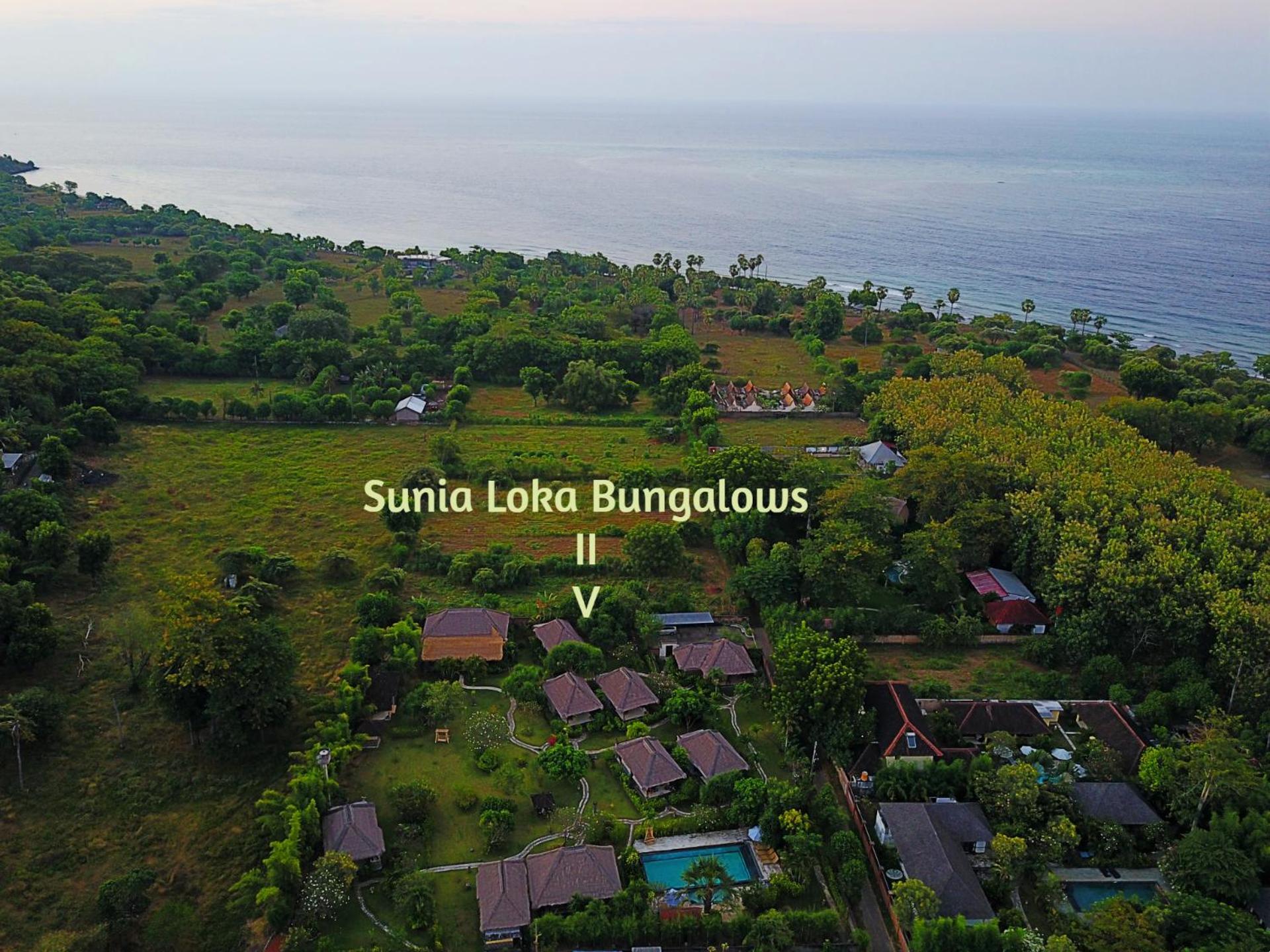 Sunia Loka Bungalows & Dive Center Pemuteran Extérieur photo