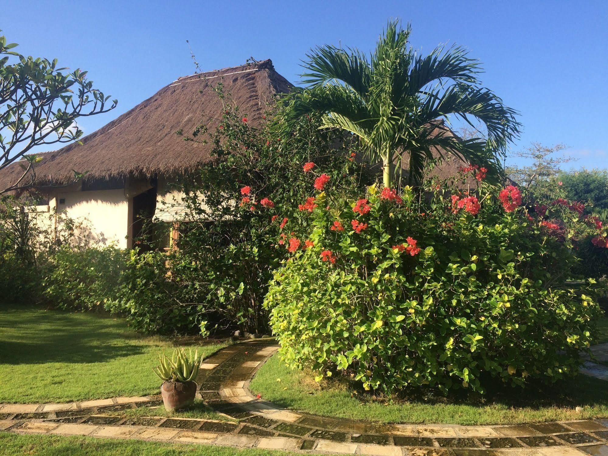 Sunia Loka Bungalows & Dive Center Pemuteran Extérieur photo