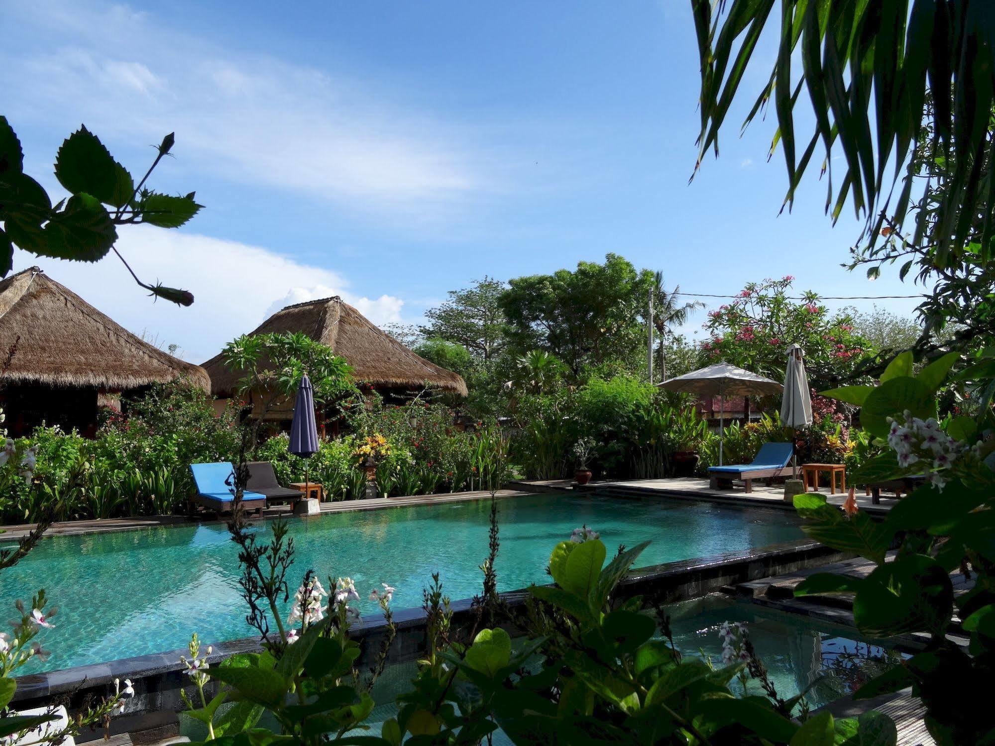 Sunia Loka Bungalows & Dive Center Pemuteran Extérieur photo