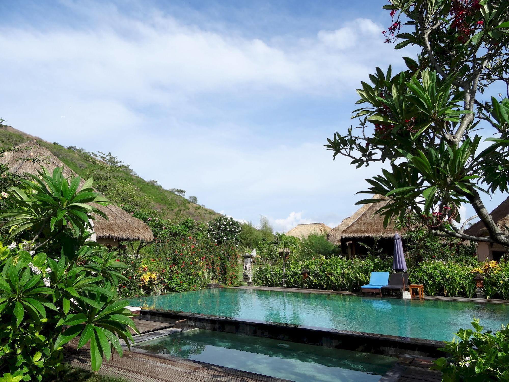 Sunia Loka Bungalows & Dive Center Pemuteran Extérieur photo