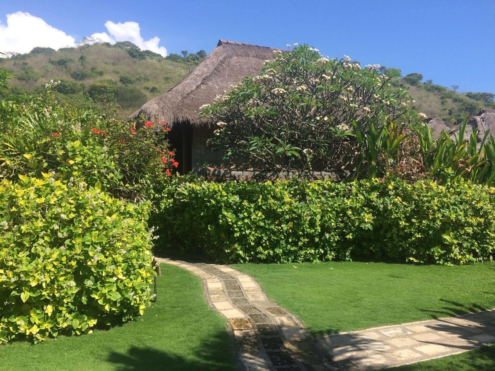 Sunia Loka Bungalows & Dive Center Pemuteran Extérieur photo