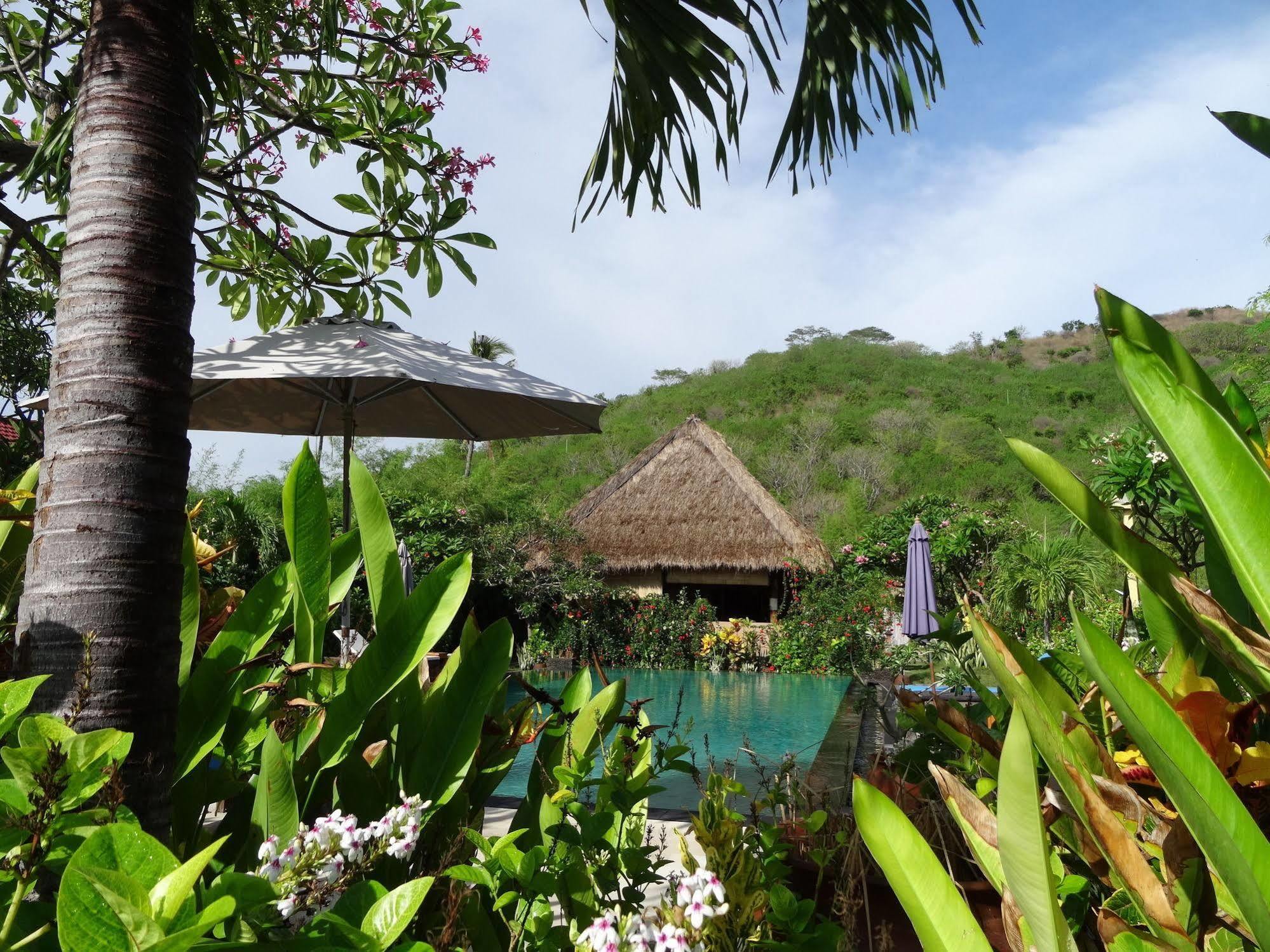 Sunia Loka Bungalows & Dive Center Pemuteran Extérieur photo
