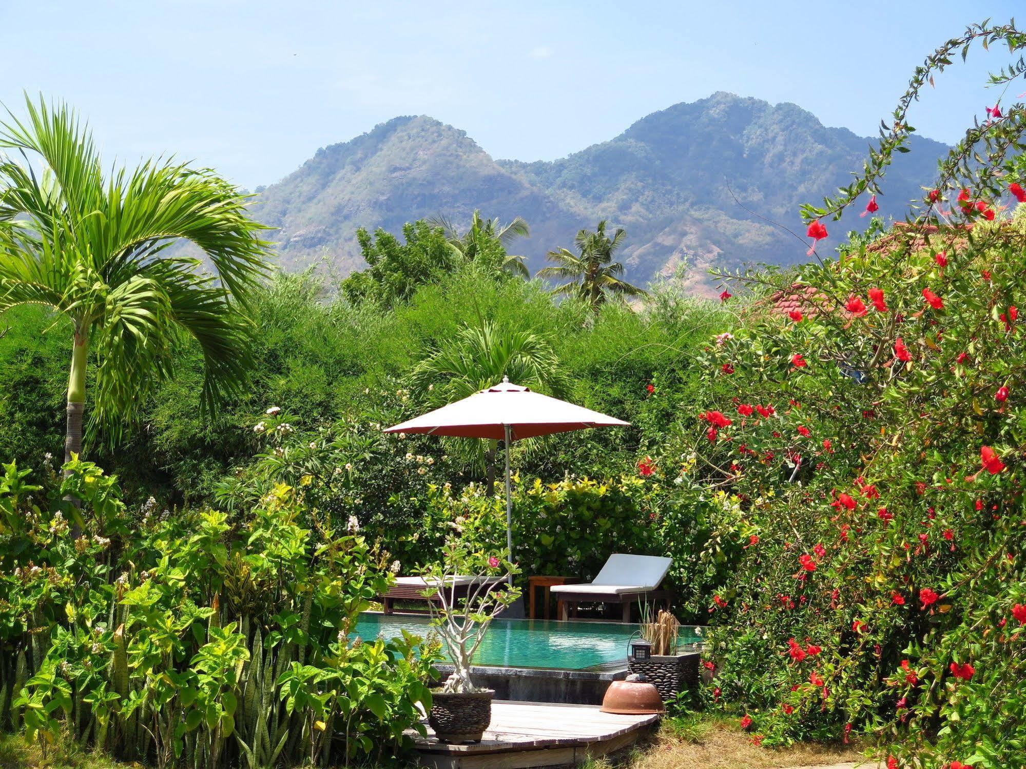 Sunia Loka Bungalows & Dive Center Pemuteran Extérieur photo