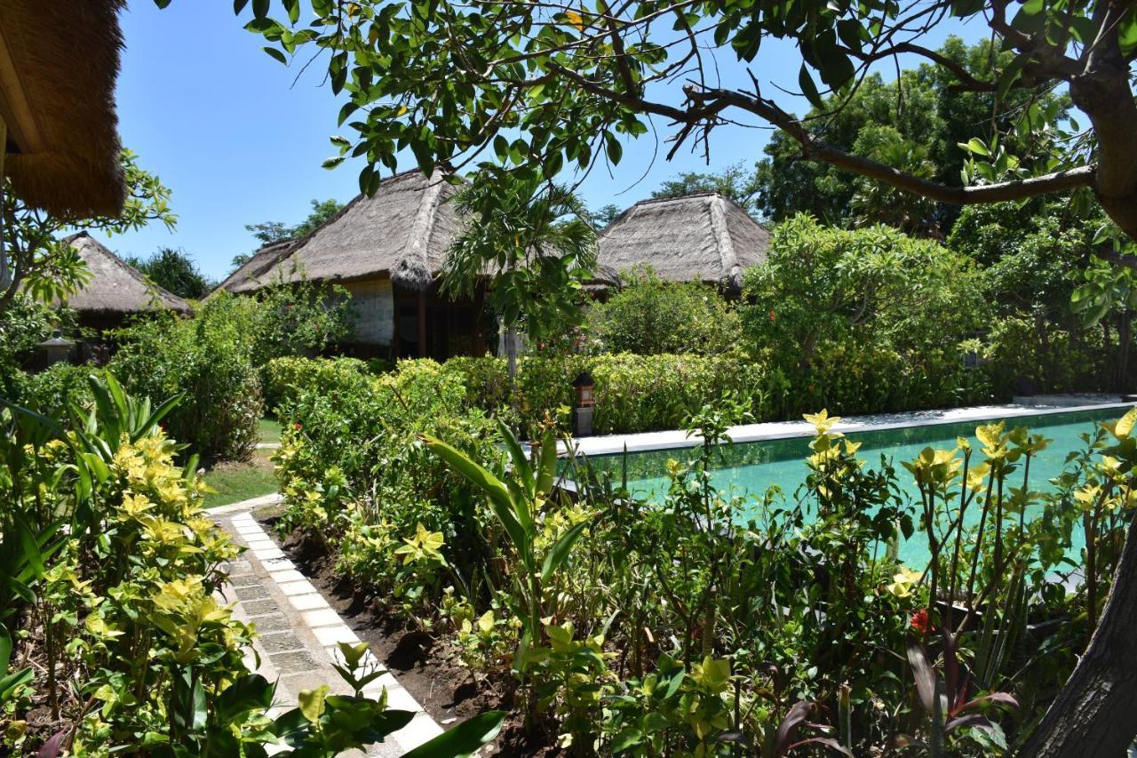 Sunia Loka Bungalows & Dive Center Pemuteran Extérieur photo