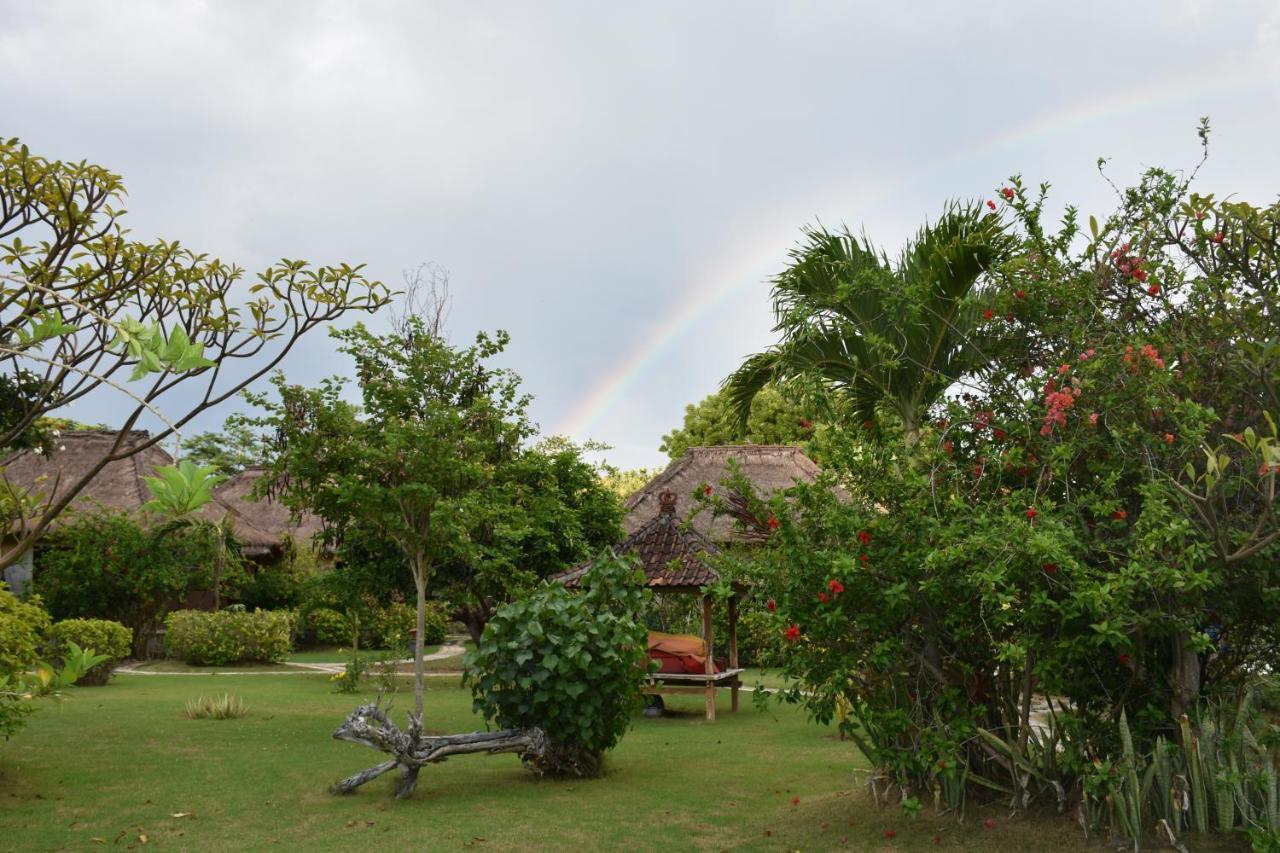 Sunia Loka Bungalows & Dive Center Pemuteran Extérieur photo